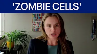 'Zombie cells,'  inflammation, and other health issue
