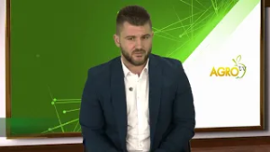 Агротема: Внос на слънчоглед от Аржентина - поредната заплаха пред сектор ,,Зърнопроизводство"