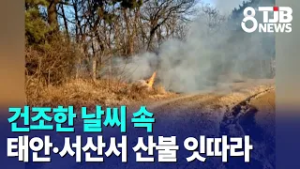 건조한 날씨 속 태안·서산서 산불 잇따라｜ TJB 대전·세종·충남뉴스