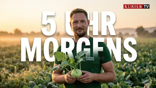 The Secret to the Perfect Kohlrabi