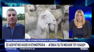 Σε ασφυκτικό κλοιό η κτηνοτροφία – Αγωνία για το μέλλον του κλάδου