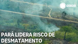 Pará é o estado que concentra o maior risco de desmatamento