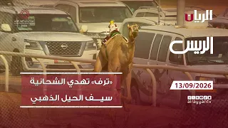 برنامج الريس - 13-09-2026