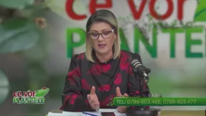 Cultivarea porumbului in gradina  Cristina Ghibu si Horia Ghibu