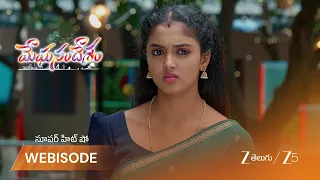 Meghasandesam | గగన్ ప్రేమను భూమి తిరస్కరించింది