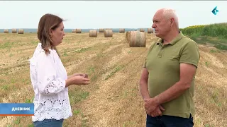 Žetva pšenice u Vojvodini u završnici   prinosi u atarima variraju