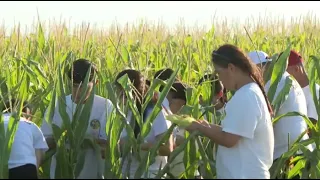Агросалаға 460 грант бөлінді