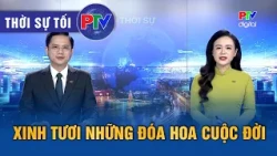 Phu Tho News Evening 10/17/2026 | Blooming Flowers of Life