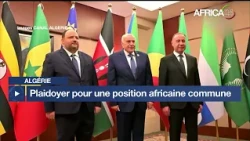 Algérie : plaidoyer pour des sièges permanents africains à l’ONU