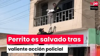 Callao: police officers enter burning home and rescue trapped pet