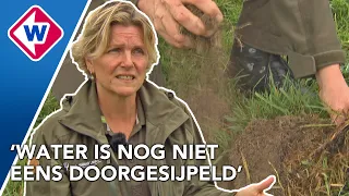 Grond is nog steeds kurkdroog, boswachter laat schade aan natuur zien