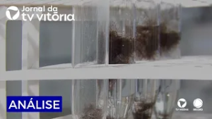 Análise de cabelo para resolução de crimes cresce no Espírito Santo.