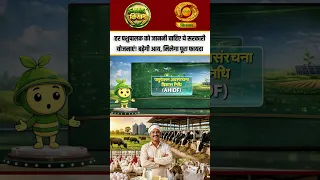 Govt. Schemes | हर पशुपालक को जाननी चाहिए ये सरकारी योजनाएं! बढ़ेगी आय, मिलेगा पूरा फायदा |