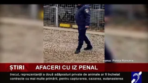 Afaceri cu iz penal