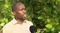 Mitigating the effects of El Niño: INGD builds reservoirs and greenhouses for food security