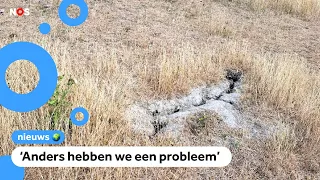 Drought causing more frequent cracks in dikes: 'Something needs to be done quickly'