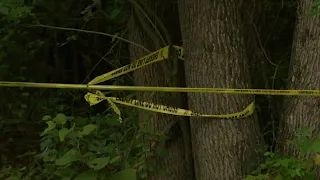 Human remains found in woods near Fayetteville homes