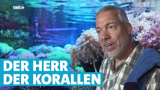 Der größte Korallenzüchter Europas
