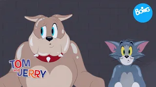 Tom y Jerry | ¡Caos y cosas de grillos! 🐭😂 | Compilación | Boing