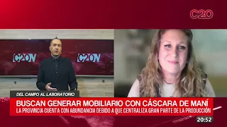 C20N - NOELIA POGLIANO - DEL CAMPO AL LABORATORIO