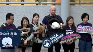 獲港鐵支持行善日合規狗隻今日可乘重鐵　狗主冀有更多友善措施