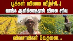 பூக்கள் விலை வீழ்ச்சி..! வாங்க ஆளில்லாததால் விவசாயிகள் வேதனை | NewsJ