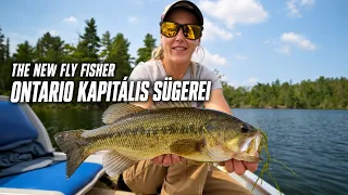 Kapitális sügérek Ontarióban