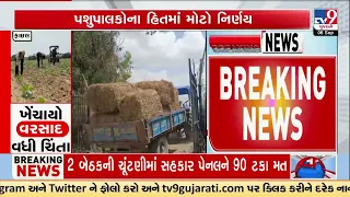Gujarat Fodder Crisis: Government Announces ₹2/Kg Fodder for Livestock Owners | TV9Gujarati