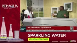 Hassan Ayariga Fires Shots at Finance Minister: “Sitting on Money and Acting Like a Demigod”