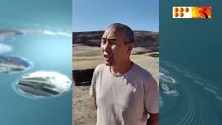 Дала өрті
