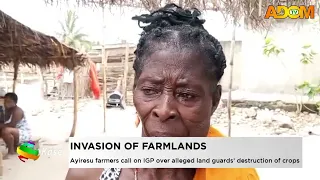 Invasion Of Farmlands: Ayirensu farmers call on IGP over alleged land guards' destruction of crops