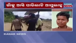 Baby Born on a Cot in Dhenkanal, Odisha | Shocking Birth Incident