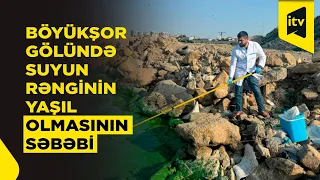 Bakının Böyükşor gölündə suyun rənginin yaşıl olmasının səbəbi aydınlaşdı