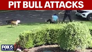 Neighbors concerned about pit bull attacks