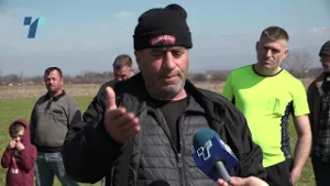 Пелагониските млекопроизводители без субвенции, најавуваат протести