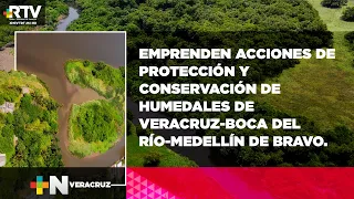 Delimitar humedales de Veracruz, primer paso para su protección y conservación | RTV NOTICIAS