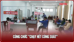 Công chức "chạy hết công suất" | CT-TDT