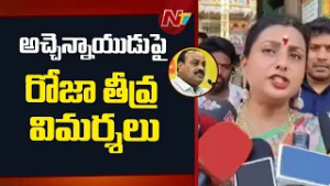 పవన్ కల్యాణ్ దిగజారి మాట్లాడుతున్నారు | Rk Roja Sensational Comments On Minister Atchannaidu | NTV