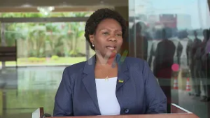 Apoio turco às vítimas das cheias : Embaixada entrega mais de 250 toneladas de produtos diversos