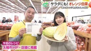 【ベジ得】内葉がオレンジがかった色合いの「オレンジ白菜」