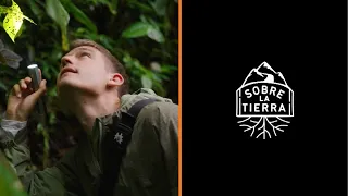 Meet Cristóbal Sprätz, a Chilean insect science communicator | On Earth