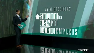 What is the outlook for the forestry industry in Uruguay?
