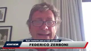 El maíz argentino vive un gran momento. Más detalles