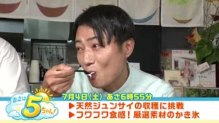 [Morning Channel 5!] Broadcast on July 4, 2026