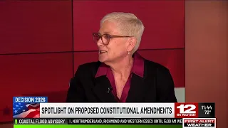 Decision 2026: Spotlight on proposed constitutional amendments