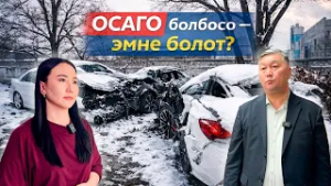 ОСАГО болбосо – эмне болот?