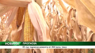 ЕС със зърнена реколта от 264 млн. тона