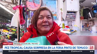 Tropical fish causes surprise at the Feria Pinto in Temuco