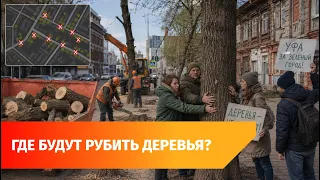 Ufa residents to be shown map of tree-felling permits