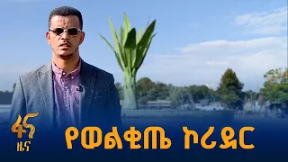 የተዋበው የወልቂጤ ኮሪደር ልማት #ኢትዮጵያ #ትልቅሀገር #ትልቅሕዝብ #ታላቅርዕይ